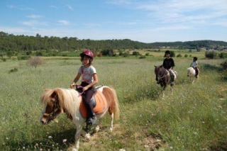  pony per bambini nel Gard